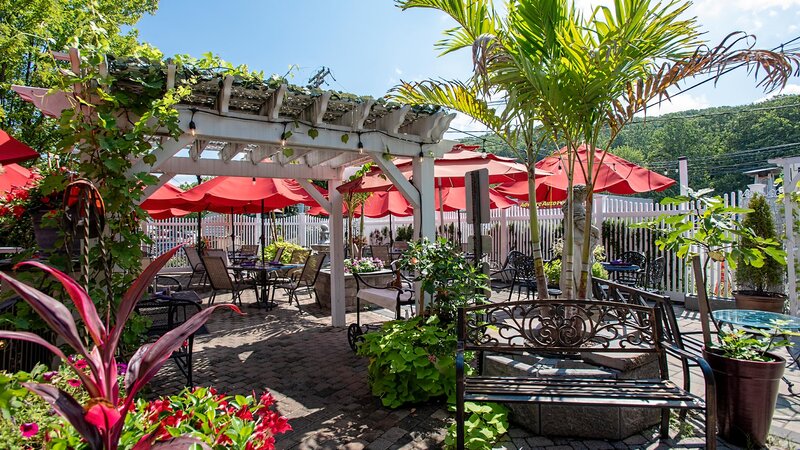 Patio dining area during summer time with many plants and tables